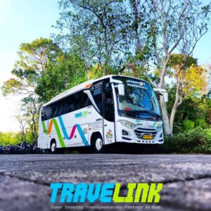 Bus Medium Jetbus 3 MD